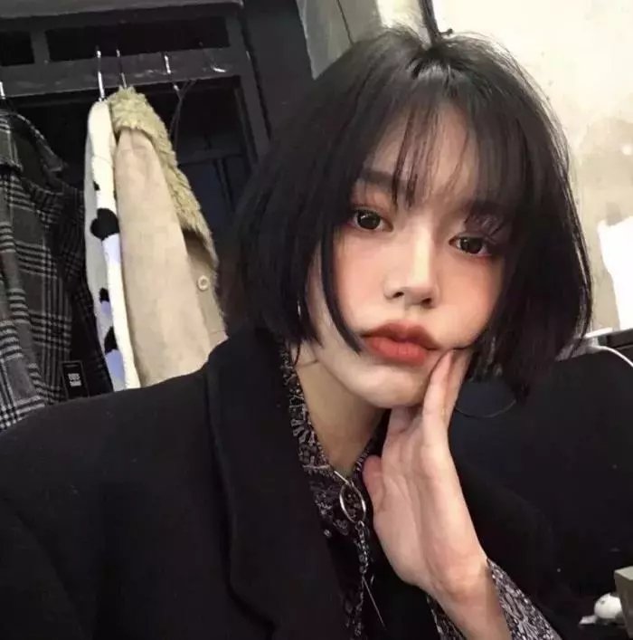 凶鳄 推荐封面